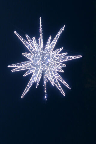 Estrella: The Shining Star of the Night ✨