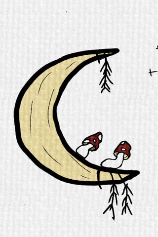 Lunita's Enchanted Moon