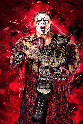 The Icon Unleashed: Sting's Championship Glory