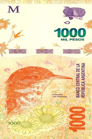 The Beauty of Argentine Currency: Un Billete De Mil Ar
