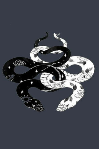 Duality of Serpents: A Dance of Light and Shadow 🐍✨