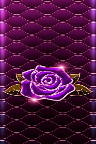 Radiant Elegance: The Purple Rose