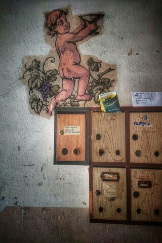 Whimsical Charm of Beograd 🍇✨