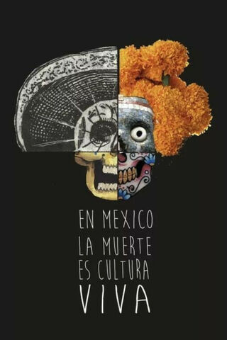 Celebrating Life and Death: Dia De Los Muertos