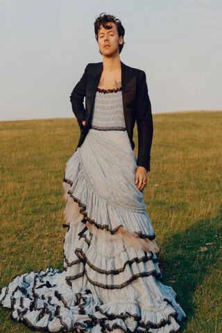 Breaking Boundaries: Harry Styles in Fashion