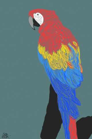 Loro: The Vibrant Parrot of the Tropics 🌈🦜