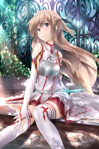 Elegance in the Digital Realm 🌟