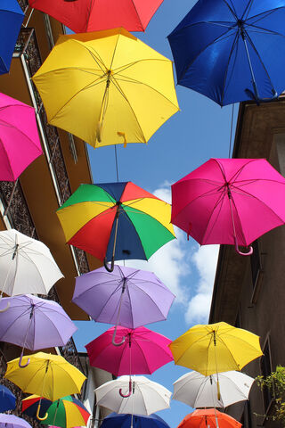 A Rainbow of Protection: Umbrella Wonderland 🌈☂️
