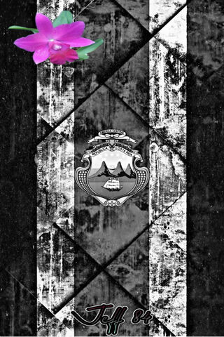 Tropical Elegance: The Spirit of Costa Rica 🌺