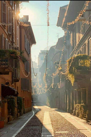 Charming Serenity of Europe Street 🌅✨
