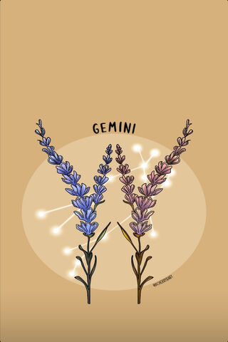 Celestial Blooms: The Gemini Essence 🌌🌿