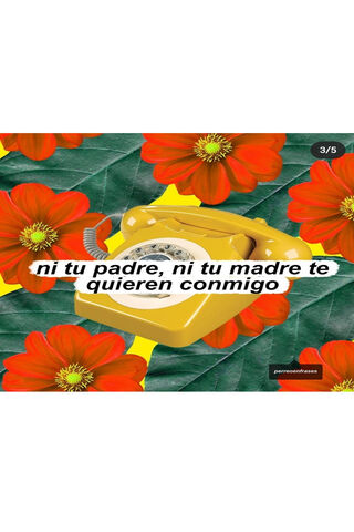 Dialing into Distant Connections 📞🌼