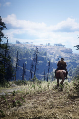 Journey Through the Wild West 🌄🐎