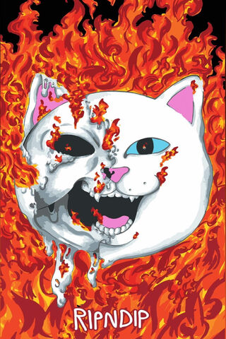Ripndip Wallpaper - Download to your mobile from PHONEKY