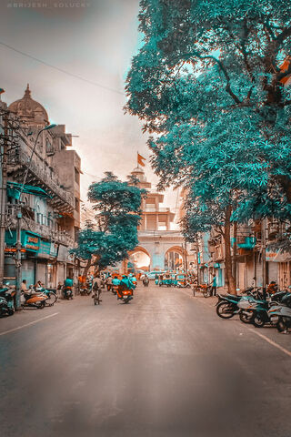 Urban Serenity: Nature's Embrace