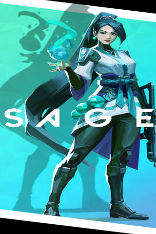 Sage: The Guardian of Valorant 🌟