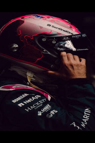 The Champion's Focus: Sebastian Vettel in Action 🏎️✨