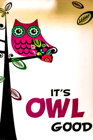 Owl You Need is Good Vibes! 🦉✨