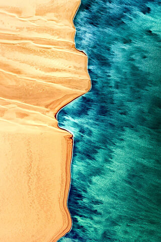 Nature's Palette: The Dance of Tints and Shades 🎨🌊