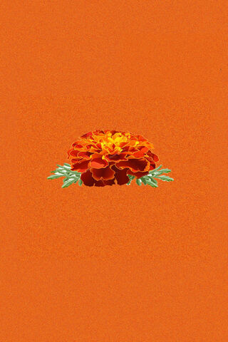 Cempasúchil: The Heart of Día de Muertos 🌼✨