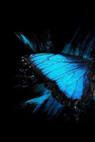 Wings of Imagination: The Beauty of Feather Art 🦋✨