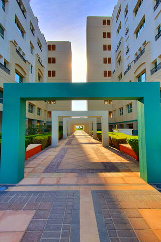 Journey Through the Green Archways 🌿✨
