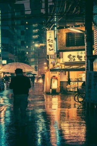 Rainy Nights in the City 🌧️✨