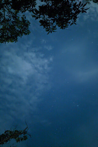 Starlit Dreams: A Glimpse into New Astro 🌌✨