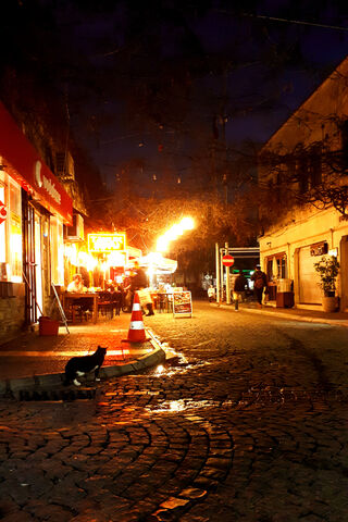 Nighttime Charm of Street P1 🌙✨