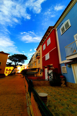 Whispers of Color on Silent Street 🌈🌳