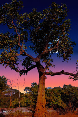 Twilight Serenity: A Spanish Landscape