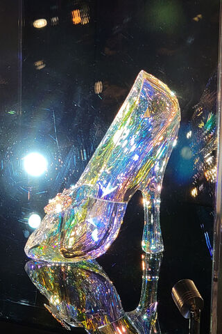 The Enchanted Glass Slipper ✨👠