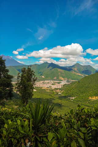 Serenity in Nature's Embrace 🌿🌄