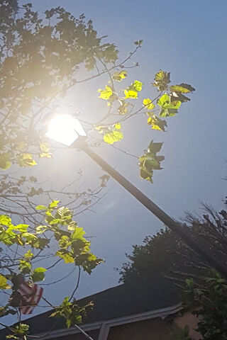 Street Light