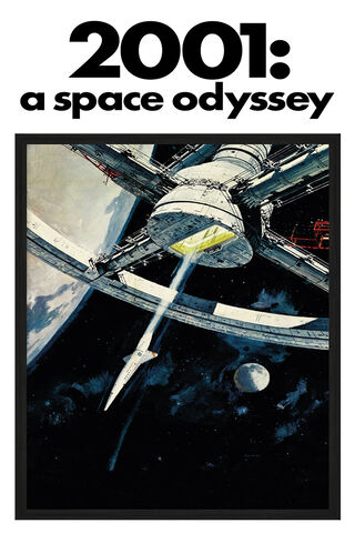 Journey Beyond the Stars 🌌✨