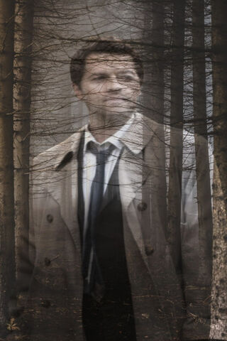 Mystical Guardian of the Forest 🌲✨