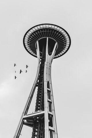 Soaring High: The Iconic Seattle Space Needle 🗼✨