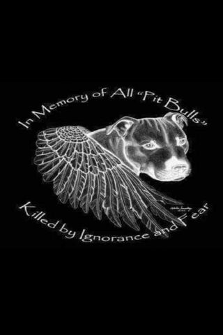 Wings of Compassion: Honoring the Pit Bull