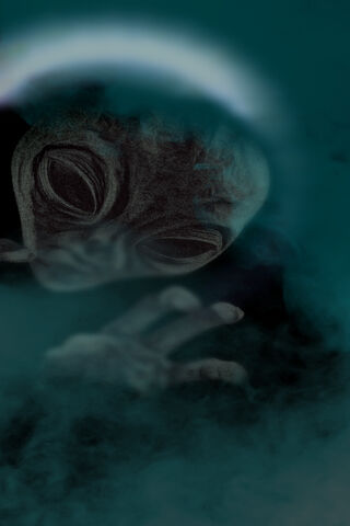 Mysterious Encounter: The Alien Experience 👽✨