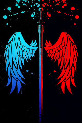 Wings of Contrast: A Dance of Colors