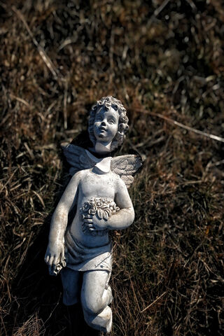 Whispers of Serenity: The Guardian Angel