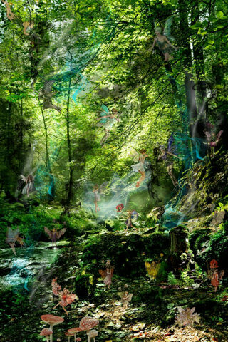 Enchanted Woodland Gathering 🌿✨