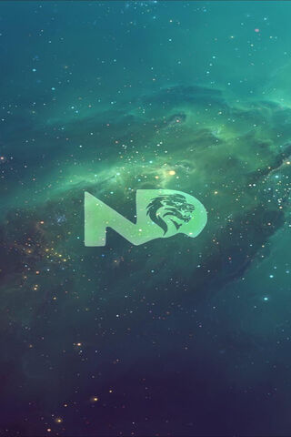 NikhilD Custom Green