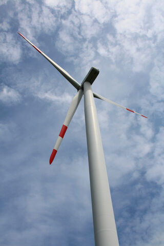 Whirling Wonders: The Power of the Pinwheel