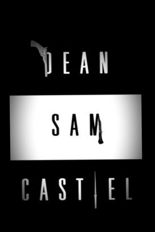 The Brothers and Their Angel: A Supernatural Legacy