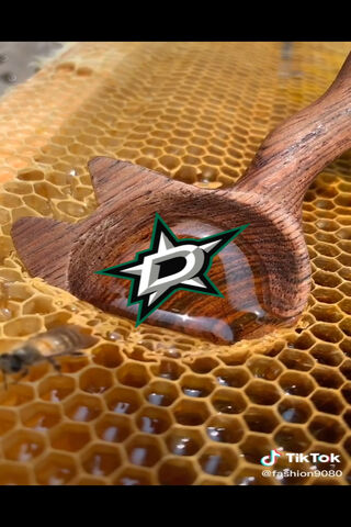 Sweet Moves in Nature 🍯✨