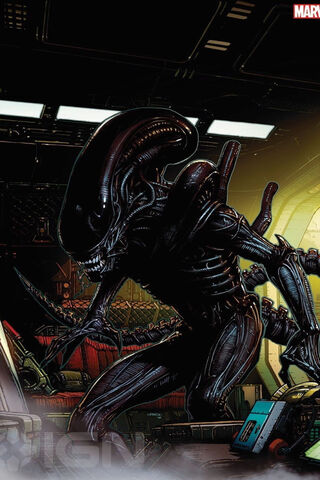 The Terrifying Xenomorph: A Sci-Fi Icon 🛸👾