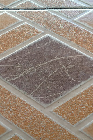 Celestial Patterns: The Surface of Discovery