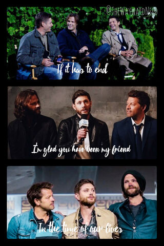 Cherished Moments: A Journey Through Friendship