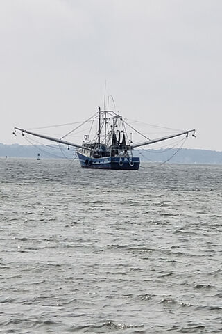Beaufort's Bounty: The Shrimping Adventure 🦐⚓